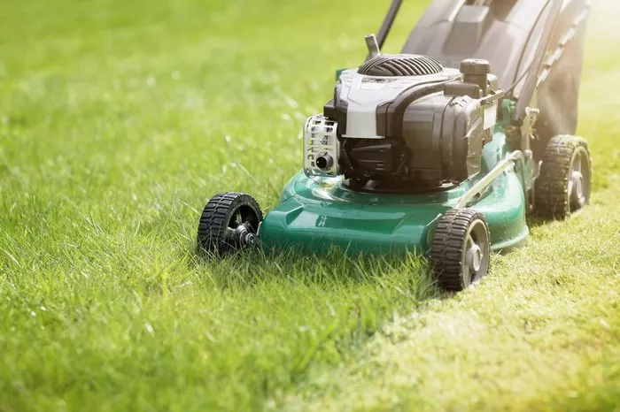 Essential Lawnmower Oil Checks: Prevent Engine Damage & Seizure